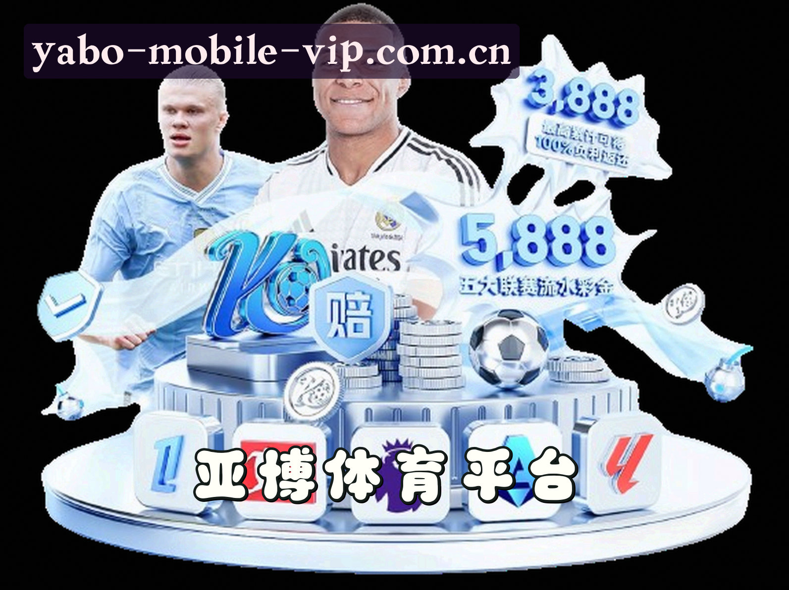 平台简介